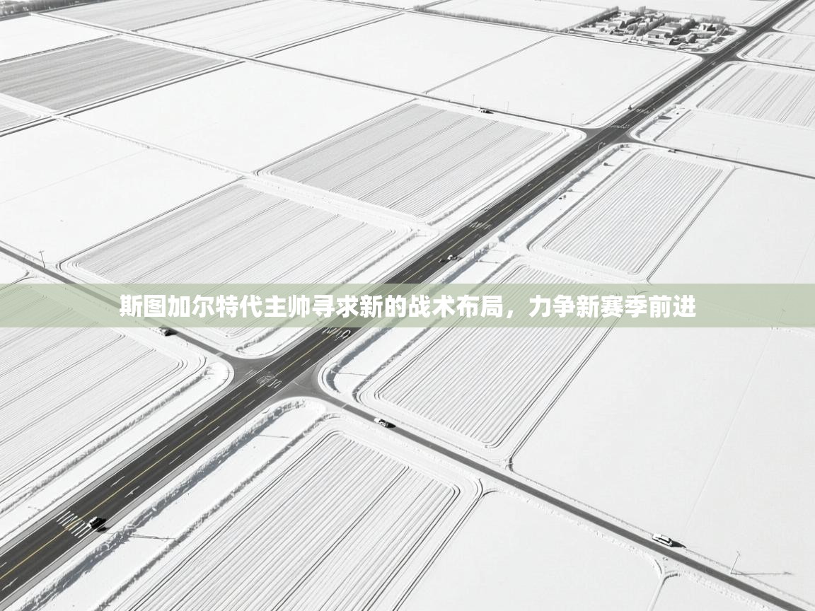 斯图加尔特代主帅寻求新的战术布局，力争新赛季前进